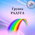 Gallery: <a href="/component/fwgallery/gallery/7-raduga">Радуга</a><br/>Author: Super User<br/>Image: Группа Радуга<br/>Date: 23.05.2017<br/>Hits: 583