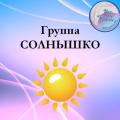 Gallery: <a href="/component/fwgallery/gallery/9-solnyshko">Солнышко</a><br/>Author: Super User<br/>Image: Группа Солнышко<br/>Date: 23.05.2017<br/>Hits: 636